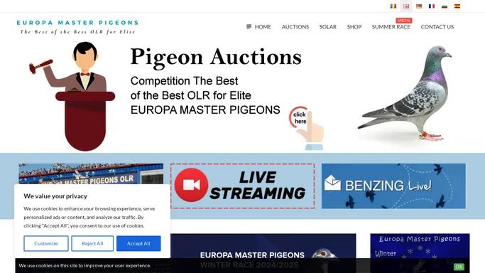 Europa Master Pigeons | The Best of the Best OLR for Elite