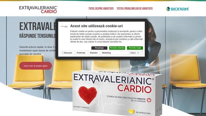 Homepage - Extravalerianic