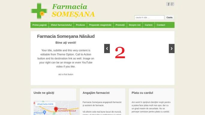 Farmacia Somesana Nasaud Online | Multa sanatate