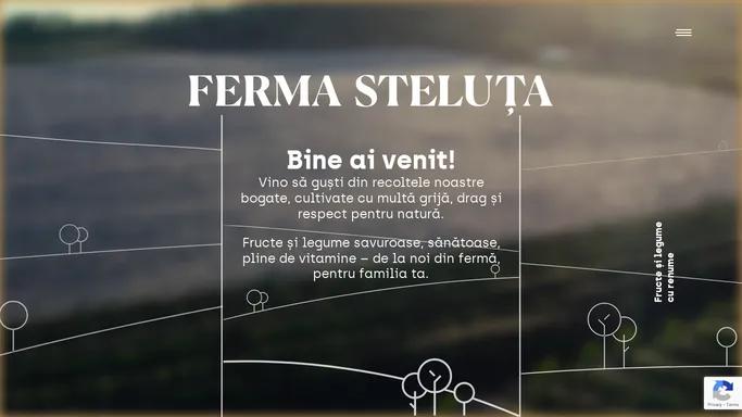 Ferma Steluta