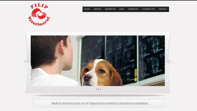 Filip Veterinarul - Cabinet Medicina Veterinara in zona Piata Domenii