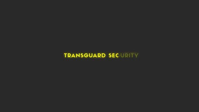 Firma de paza si protectie din Constanta - Transguard Security