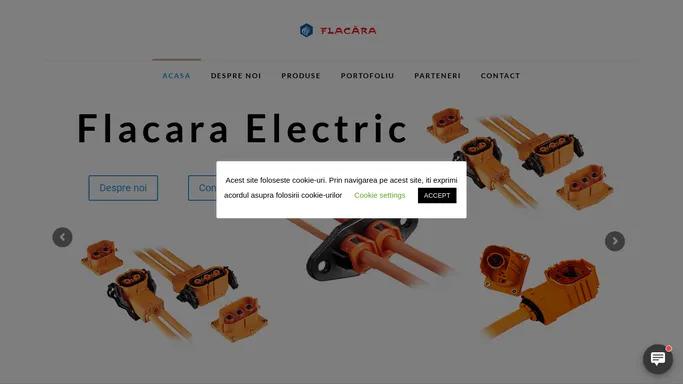 Flacara-electric.ro - Flacara