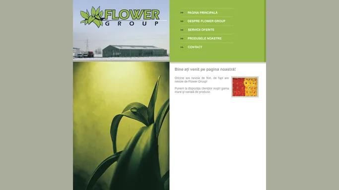 www.FlowerGroup.ro