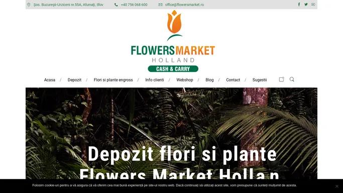 Flowers Market Holland – Depozit flori si plante engross