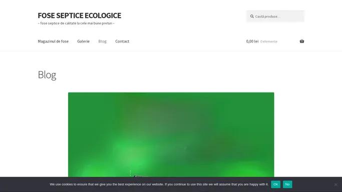 Blog - FOSE SEPTICE ECOLOGICE - MONTAJUL DUREAZA O ZI!!