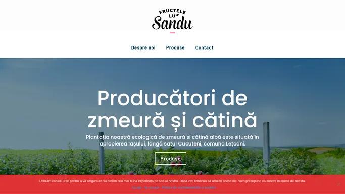 Fructele lu' Sandu – Producatori de Zmeura si Catina ecologica in Iasi.