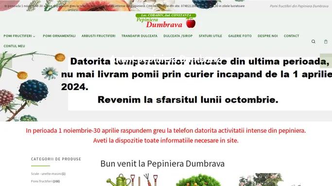 Pepiniera Dumbrava – Pomi fructiferi din Pepiniera Dumbrava