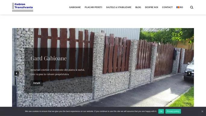 Gabion Transilvania - Productie si instalare profesionala gabioane