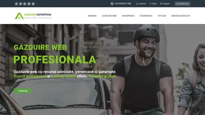 Gazduire web profesionala si inregistrare domenii.