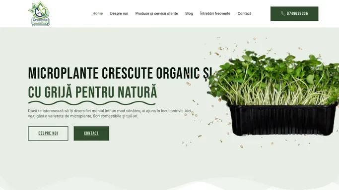 Geoponica – microplante crescute organic si cu grija pentru natura