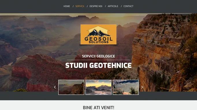 Studii geo, Studiu Geotehnic, Studiu Geo