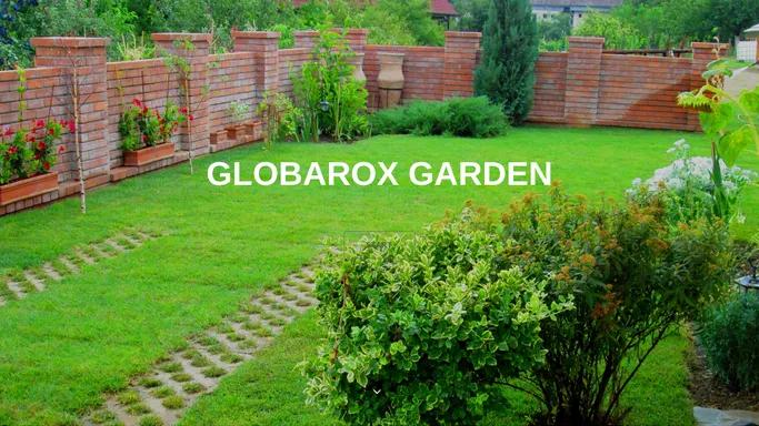 Amenajari spatii verzi | Globarox Garden | Simleul Silvaniei | Salaj