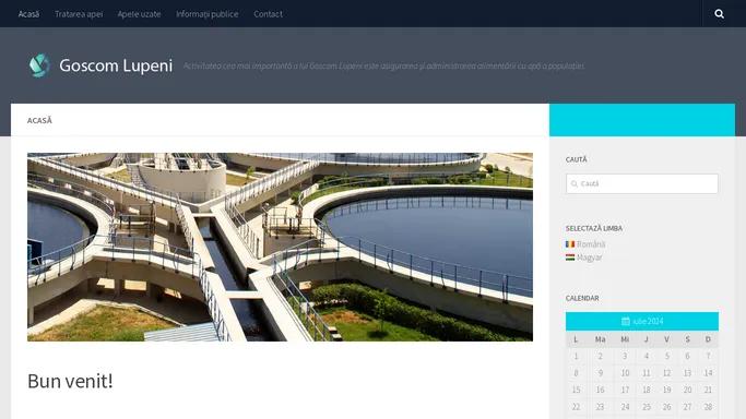 Goscom Lupeni SRL – Activitatea cea mai importanta a lui Goscom Lupeni este asigurarea si administrarea alimentarii cu apa a populatiei.