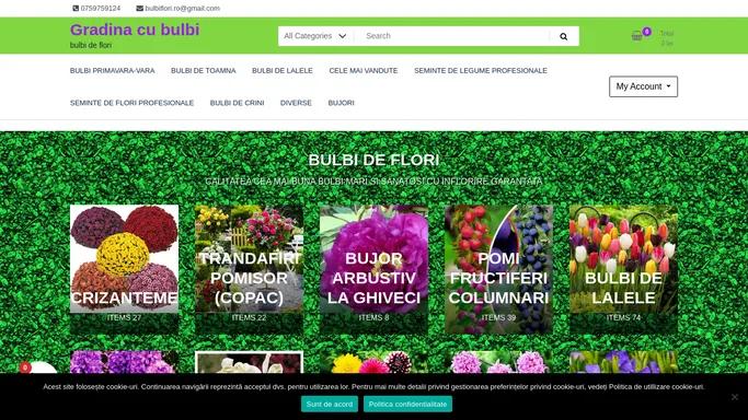 Bulbi de flori – Gradina cu bulbi – lalele – zambile – crini – dalia – bujori etc