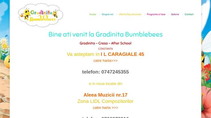 Gradinita Bumblebees – Gradinita Constanta – Gradinita Particulara Constanta