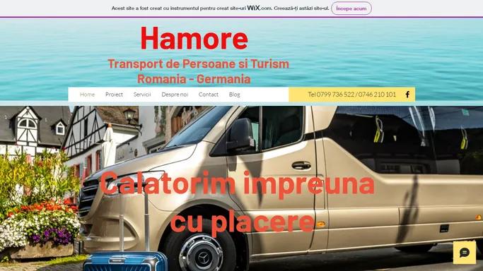 Firma Transport Persoane Romania Germania