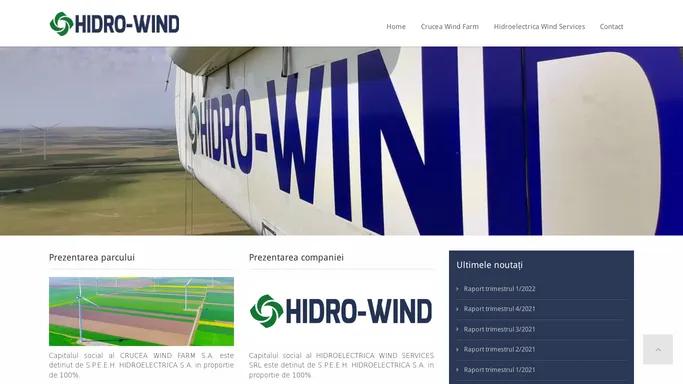Hidroelectrica Wind Services