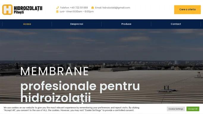 Hidroizolatii Pitesti – Site prezentare hidroizolatii Pitesti