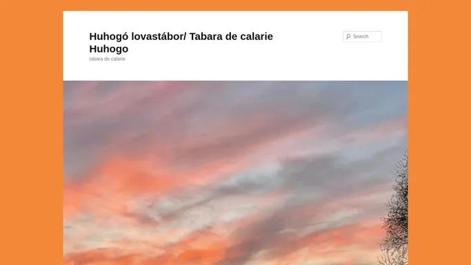 Huhogo lovastabor/ Tabara de calarie Huhogo | tabara de calarie