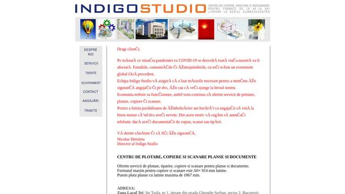 INDIGO STUDIO - plotare si printare din Autocad si Nemetschek, copiere, scanare, indosariere formate mari, livrare la sediul clientului