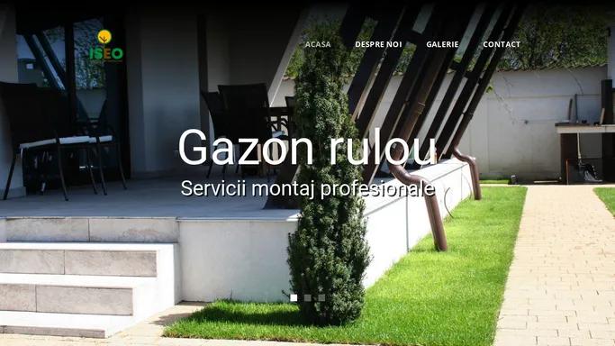 iseo.ro - servicii montaj gazon rulou, amenajari gradini Roman, Bacau, Iasi