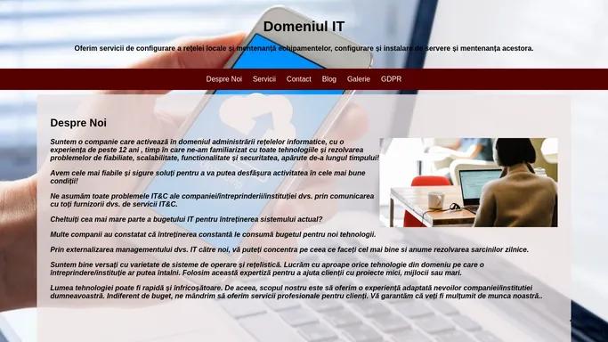 Domeniul IT