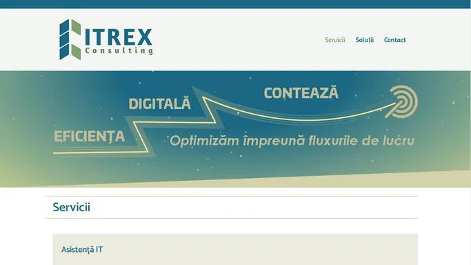 Itrex Consulting – Servicii IT