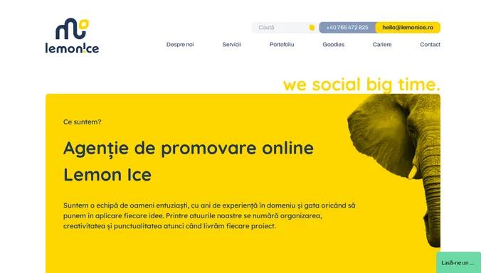 Lemon Ice Agency - Agentie Publicitate Online | Promovare Sigura