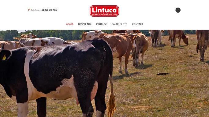 Lintuca – Fabrica de branzeturi