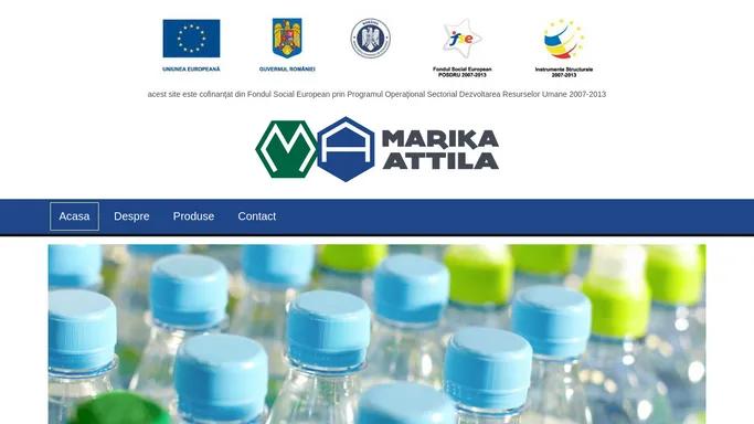 MariPlast.ro |