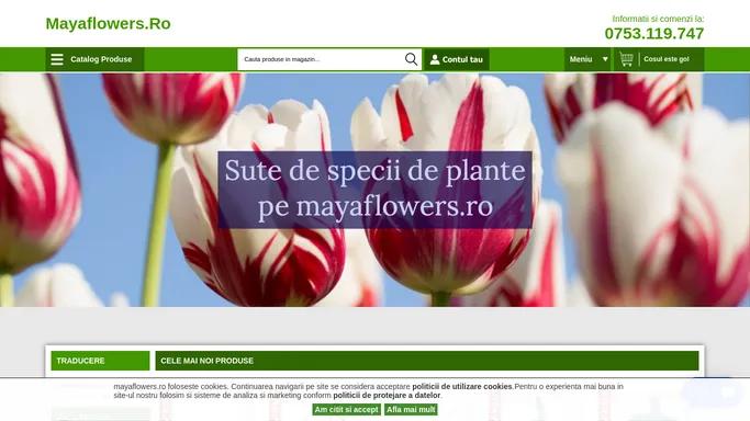 Magazin plante, arbusti decorativi si flori de primavara