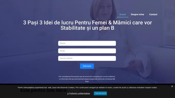 3 Idei de lucru Pentru Femei & Mamici care vor Stabilitate si un Plan B - Mentorul Tau Online