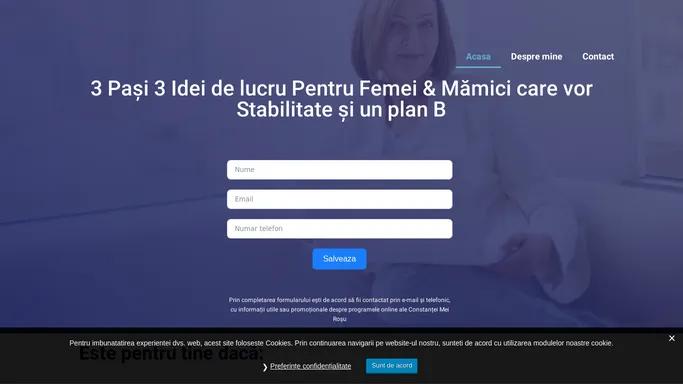 3 Idei de lucru Pentru Femei & Mamici care vor Stabilitate si un Plan B - Mentorul Tau Online