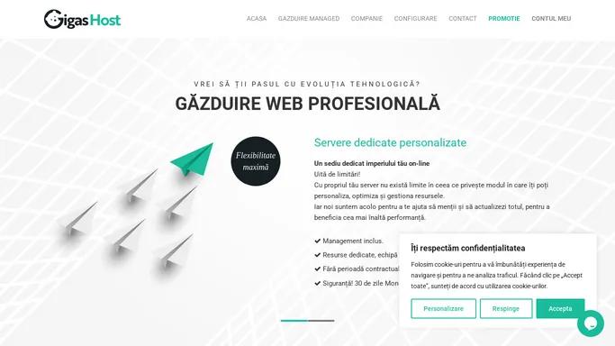 GigasHost, Gazduire web profesionala, servere dedicate, vps