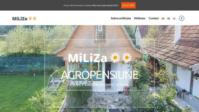 Cazare, salina artificiala si wellness la Petris in judetul Arad: liniste, relaxare in natura