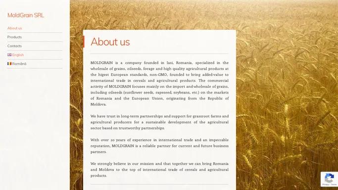 About us - MoldGrain SRL