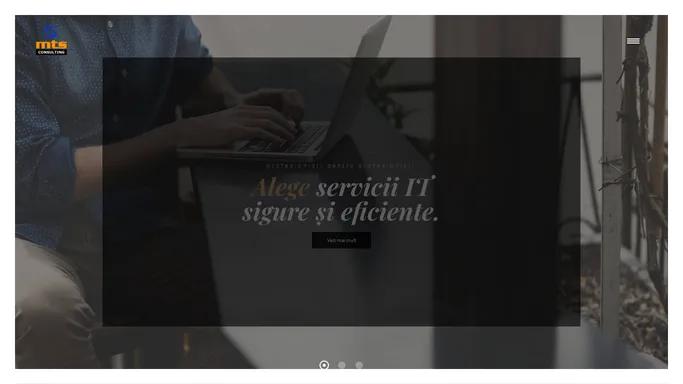 MTS Complet Consulting – Servicii IT – Webdesign – SEO