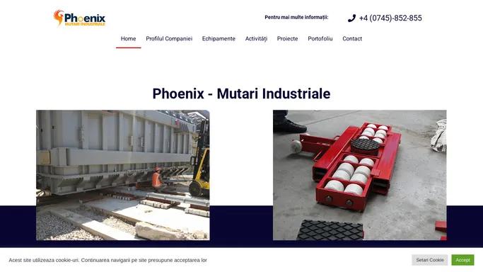 Mutari Industriale – Phoenix