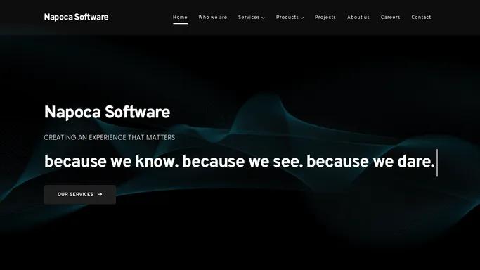 NAPOCA SOFTWARE