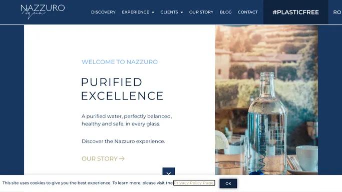 Nazzuro Aqua – Professional water purification systems