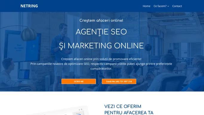 AGENTIE SEO, PPC si marketing online Cluj | NETRING.RO