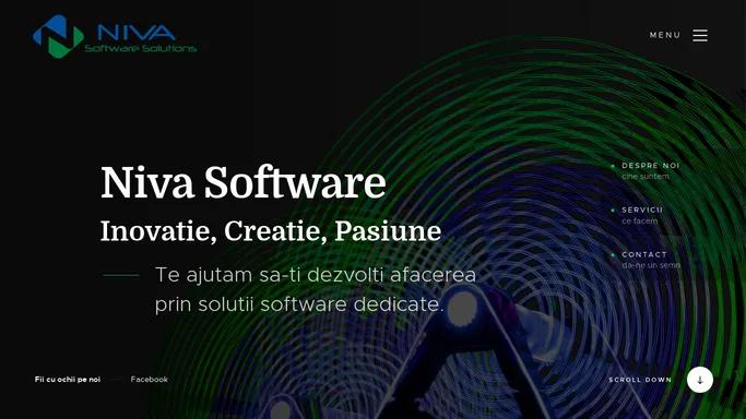 Niva Software Solutions - Solutii software dedicate