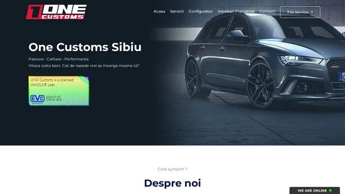 Resoftari Sibiu | Chiptuning Sibiu | One Customs