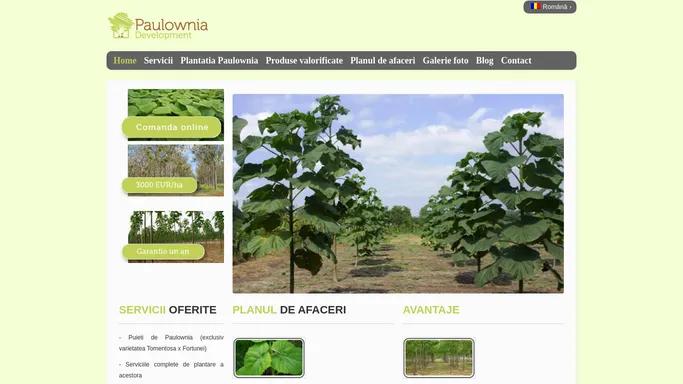 Paulownia Development ofera servicii profesionale Paulownia