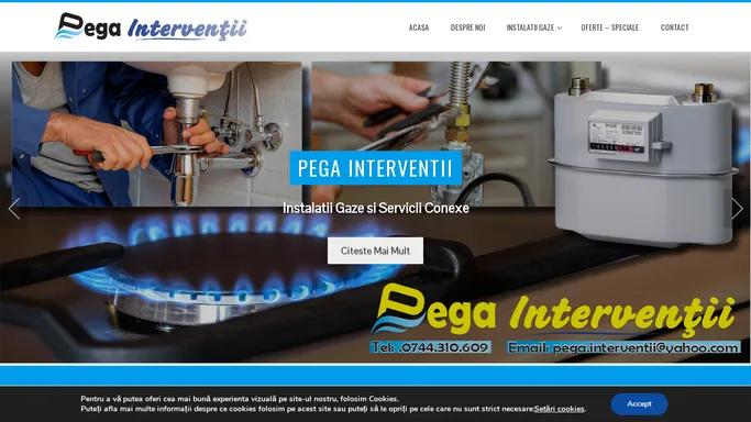 Instalatii Gaze - Pega Interventii