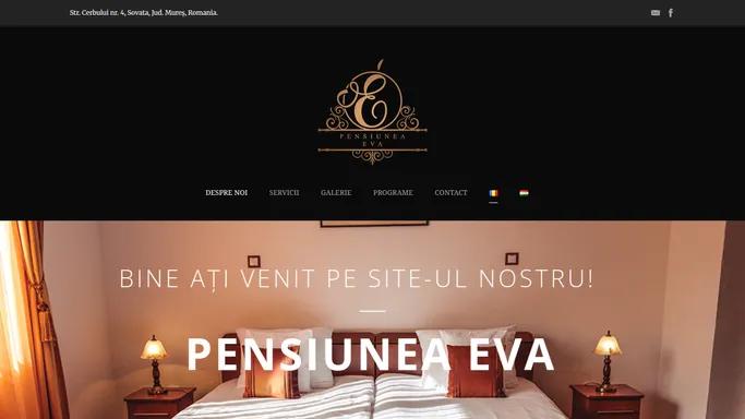 Despre noi — Pensiunea Eva Sovata - Servicii de cazare