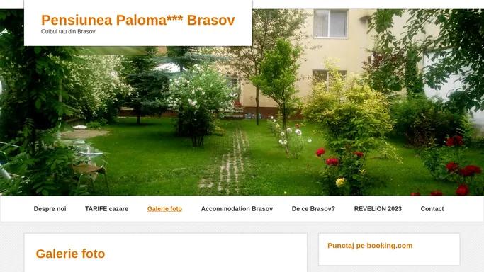 Pensiunea Paloma Brasov