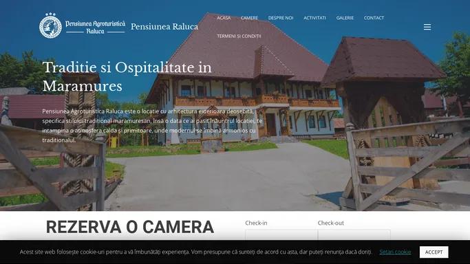 Pensiunea Raluca - Pensiune Vadu Izei - Maramures