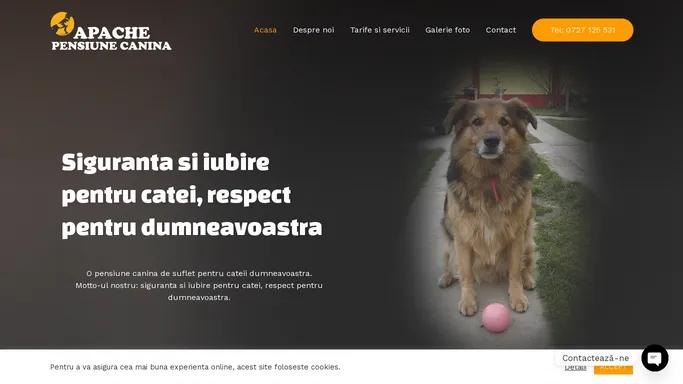 Acasa - Pensiunea Canina Apache